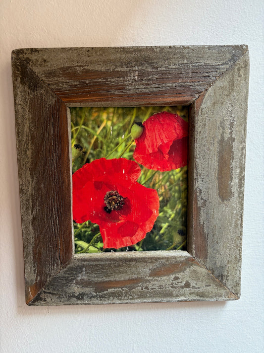 Quadro